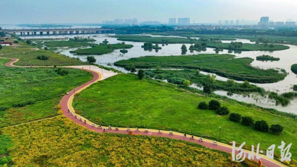 滹沱河生态“蝶变” 石家庄正定城市生态恢复的绿色篇章
