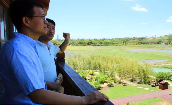 加强湿地生态治理 助推农业与旅游深度融合——张云华副部长一行调研水稻国家公园生态恢复工作