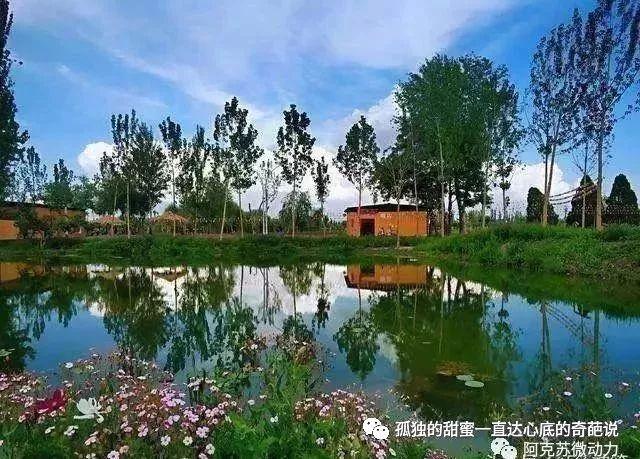 让绿色的交响曲响彻天际——阿克苏实施荒漠绿化工程纪实