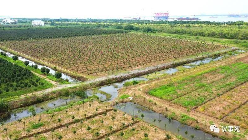 江上访洲⑥ · 连江通海 常州录安洲从万吨码头化身生态绿洲
