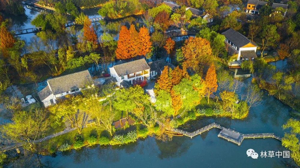 湿地保护中的生态奇迹 西溪国家湿地公园缔造四方共赢典范